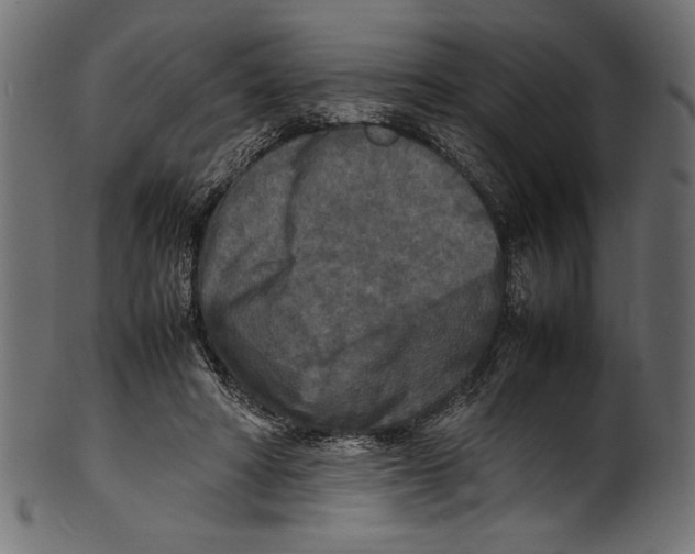 X0000100850402200807181101
