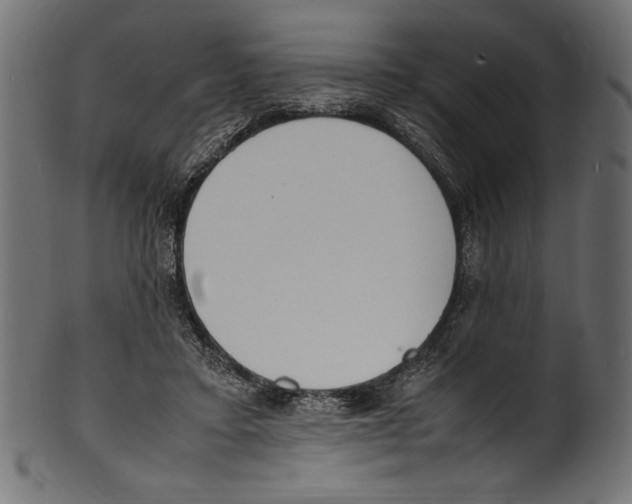 X0000100850403200807181101