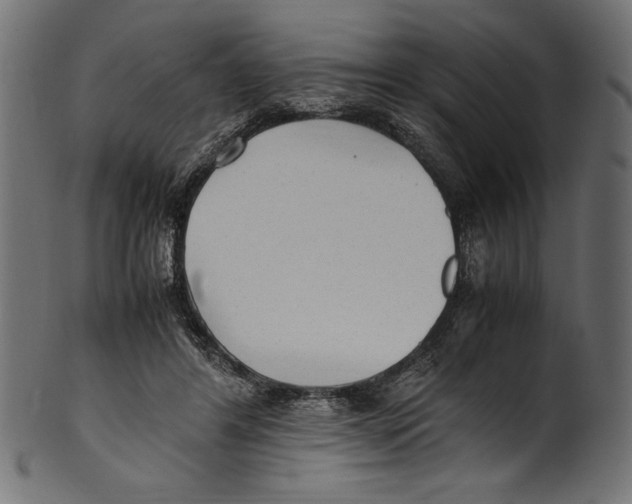 X0000100850404200807181101