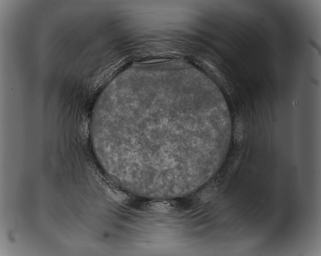 X0000100850405200807181101