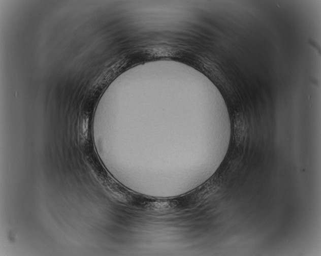 X0000100850406200807181101
