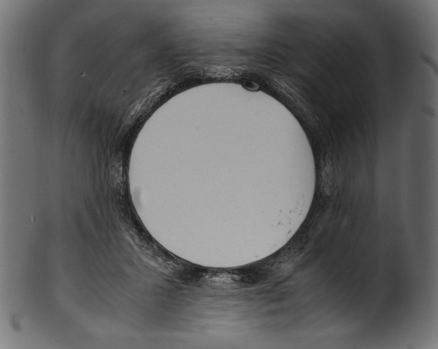 X0000100850407200807181101