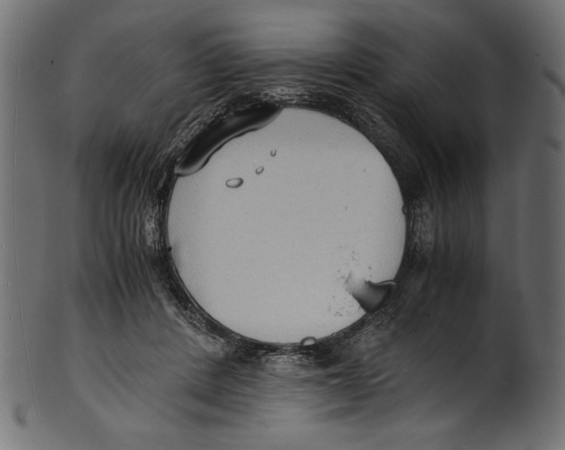 X0000100850408200807181101