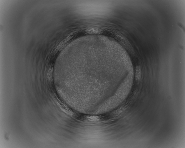 X0000100850409200807181101