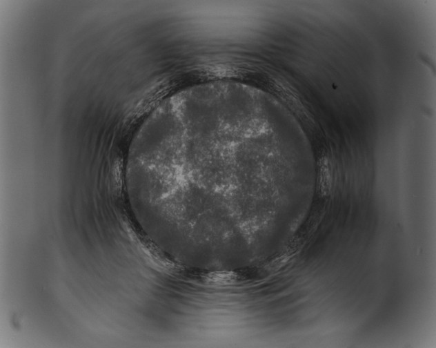 X0000100850410200807181101