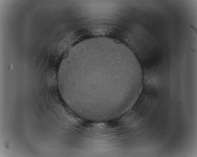 X0000100850411200807181101