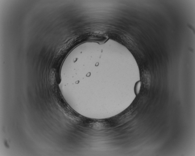 X0000100850412200807181101