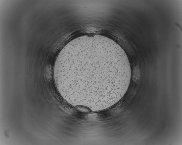 X0000100850413200807181101