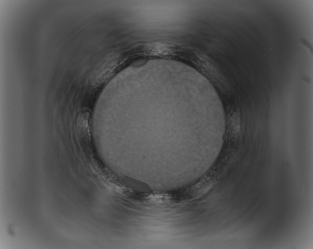 X0000100850415200807181101