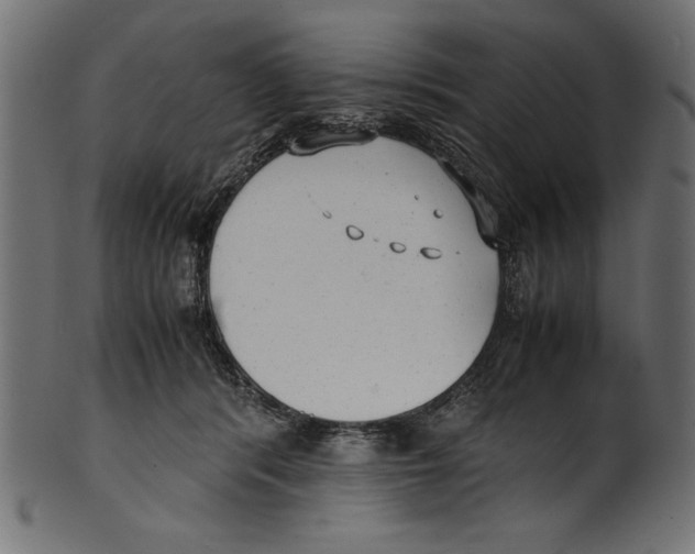 X0000100850416200807181101