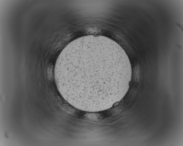X0000100850417200807181101