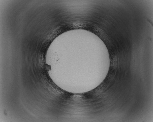 X0000100850418200807181101