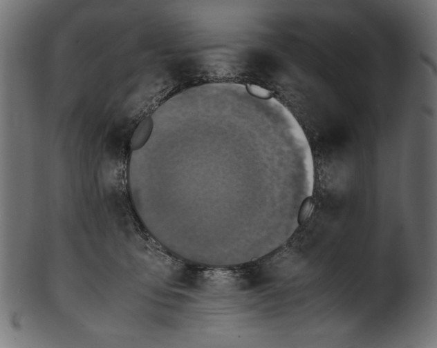 X0000100850419200807181101