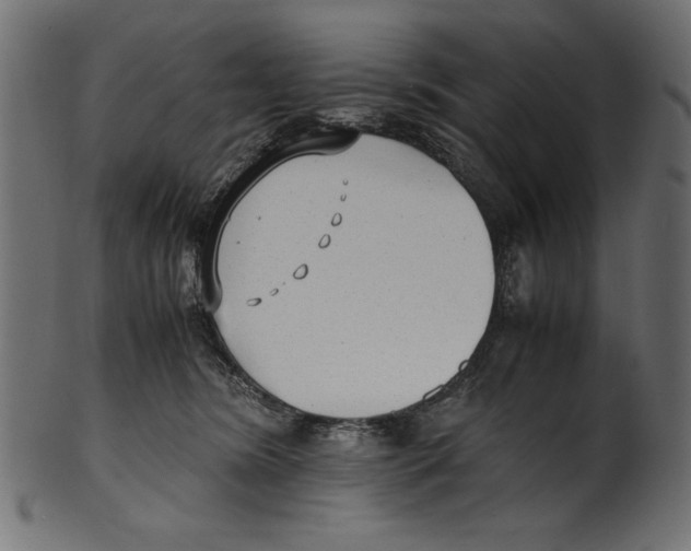 X0000100850420200807181101