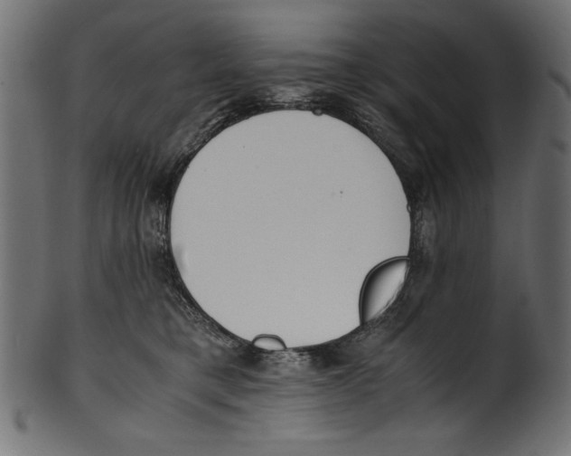 X0000100850421200807181101