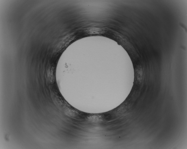 X0000100850422200807181101