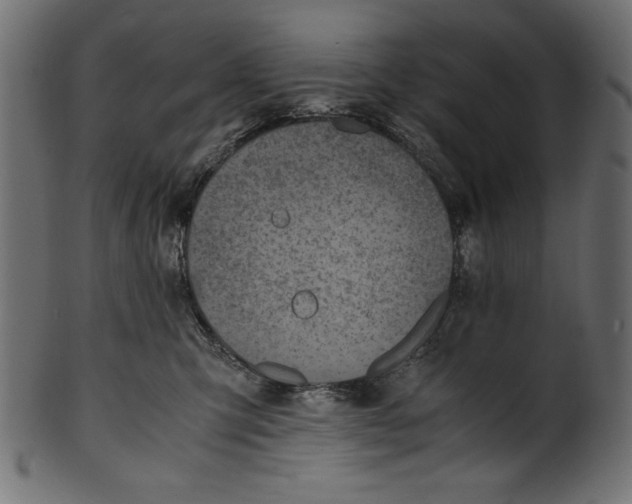 X0000100850423200807181101