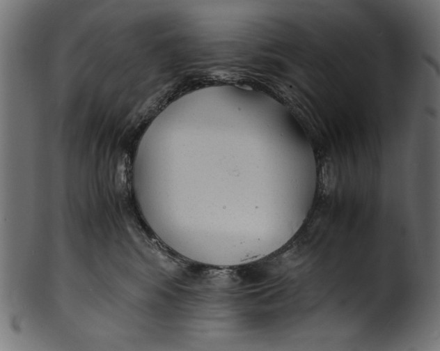 X0000100850424200807181100