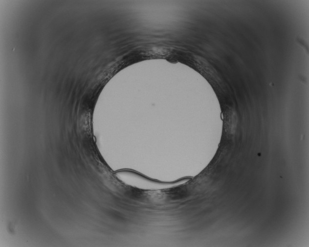 X0000100850425200807181100