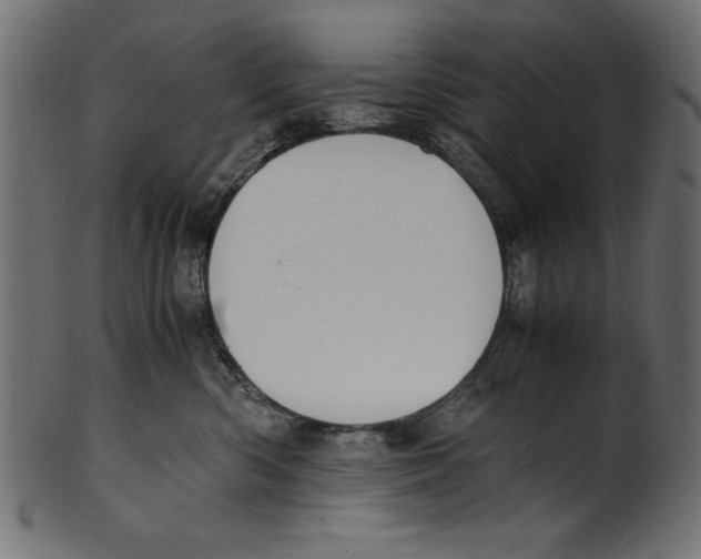 X0000100850426200807181100