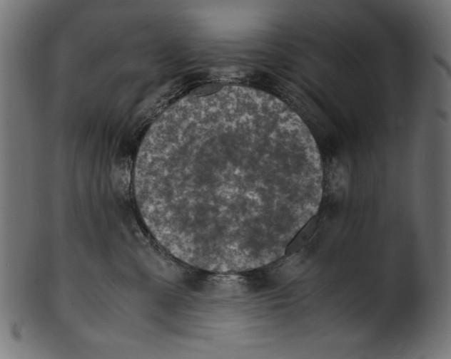 X0000100850427200807181100