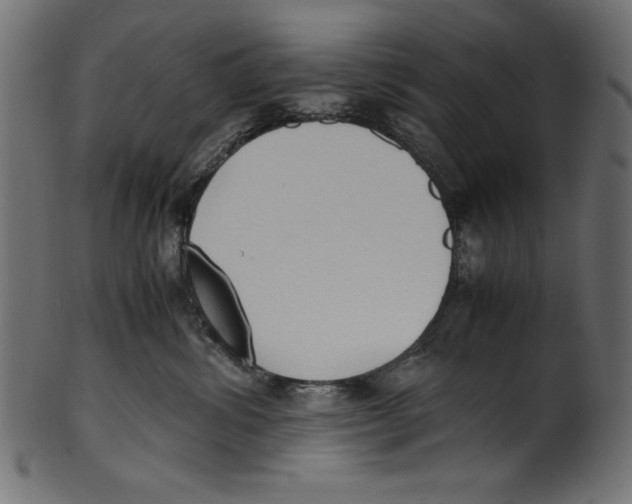 X0000100850428200807181100