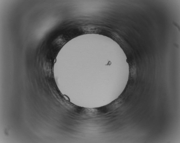 X0000100850429200807181100
