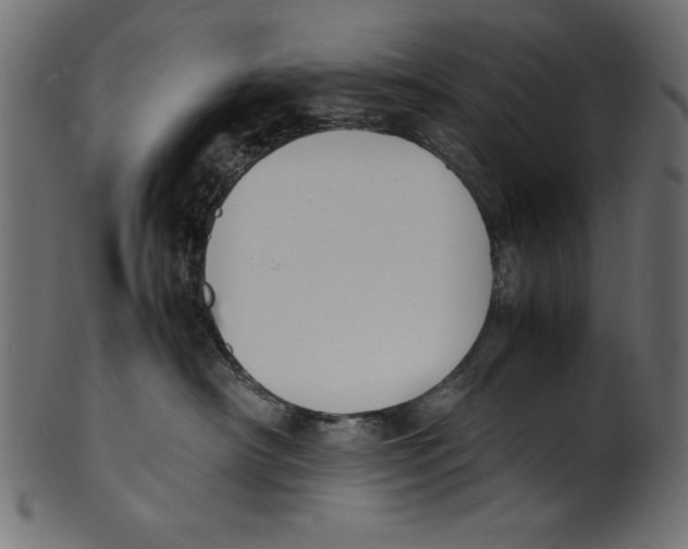 X0000100850430200807181100