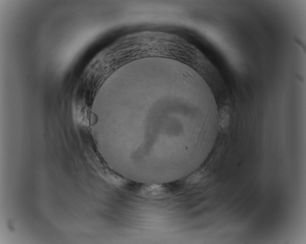 X0000100850431200807181100