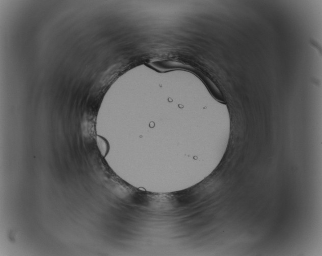 X0000100850432200807181100