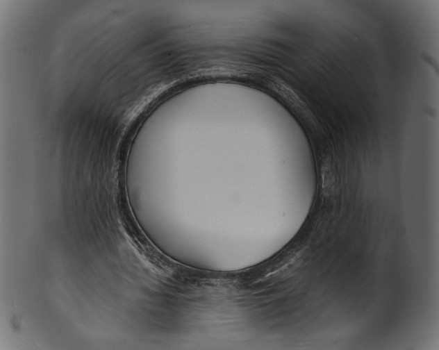 X0000100850436200807181100