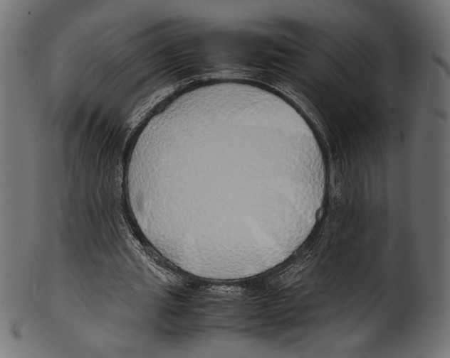 X0000100850437200807181100