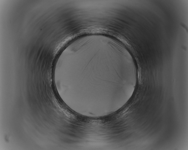 X0000100850438200807181100