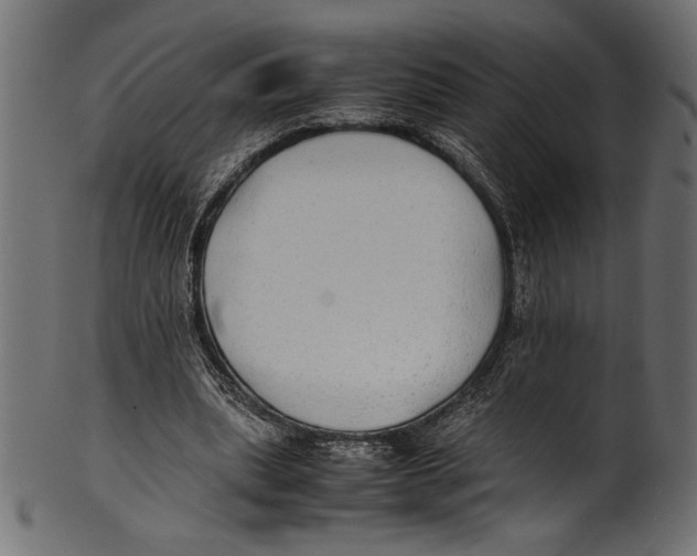 X0000100850439200807181100