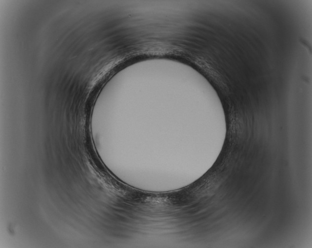 X0000100850440200807181100