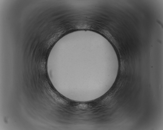 X0000100850441200807181100