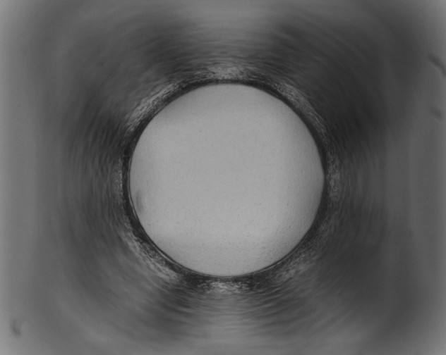 X0000100850442200807181100