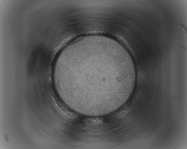 X0000100850443200807181100