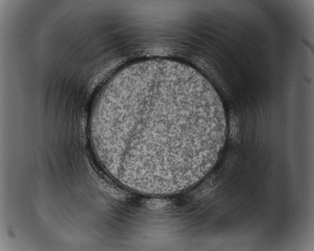 X0000100850444200807181100