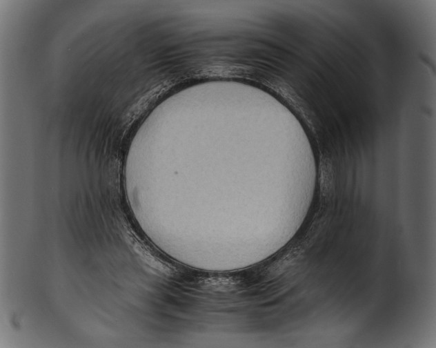 X0000100850445200807181100