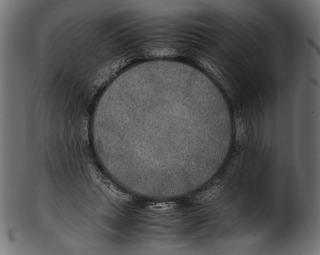 X0000100850447200807181100