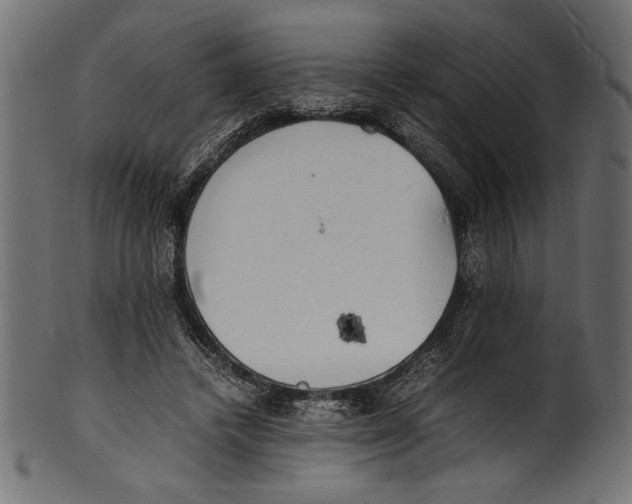 X0000100850448200807181100