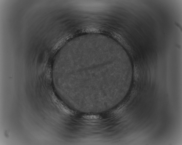 X0000100850449200807181100