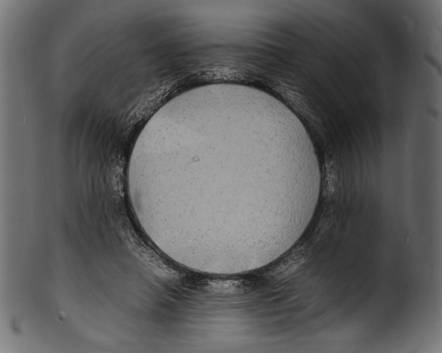 X0000100850450200807181100