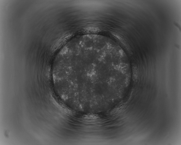 X0000100850451200807181100