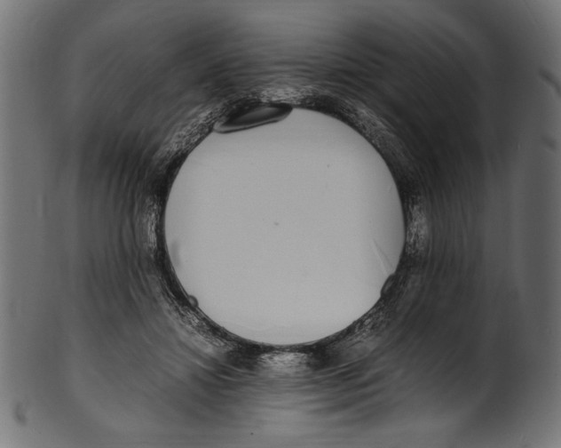 X0000100850452200807181100