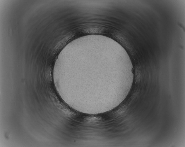 X0000100850453200807181100