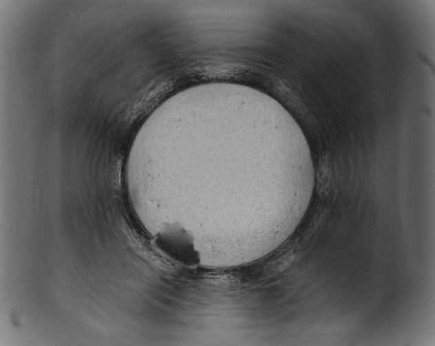 X0000100850454200807181100