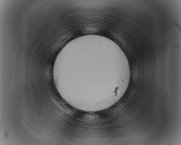 X0000100850455200807181100
