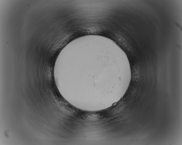 X0000100850456200807181100